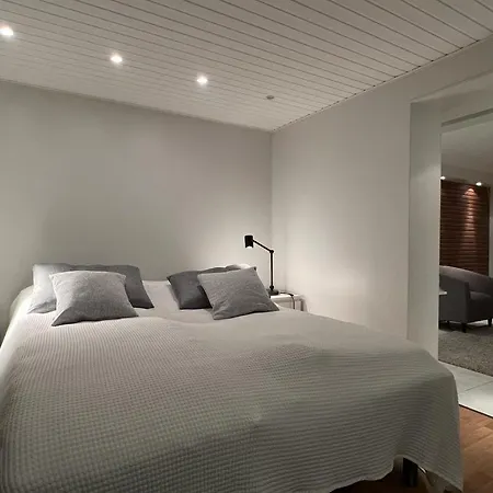 Apartmán Cityhome Ainola *
